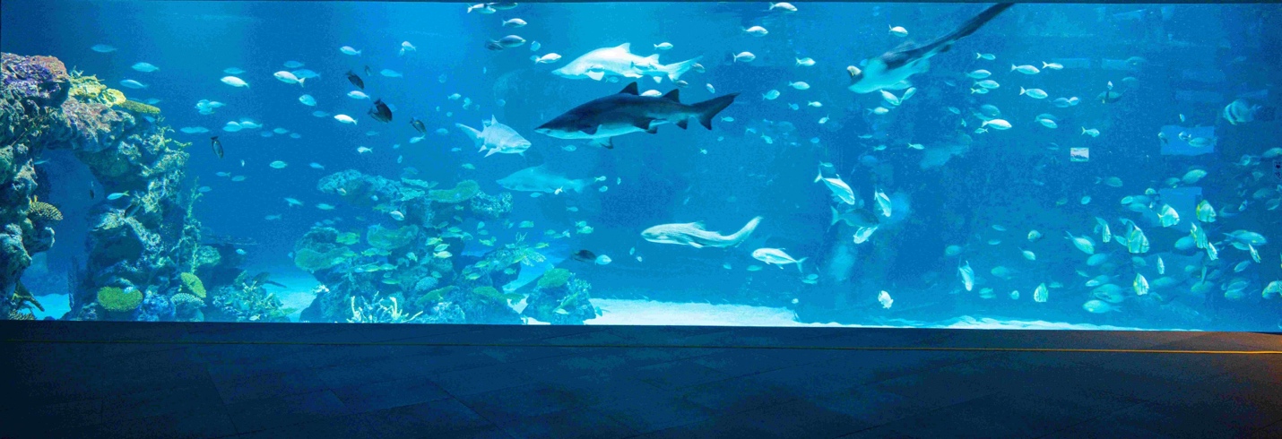 AQUARIA PHUKET